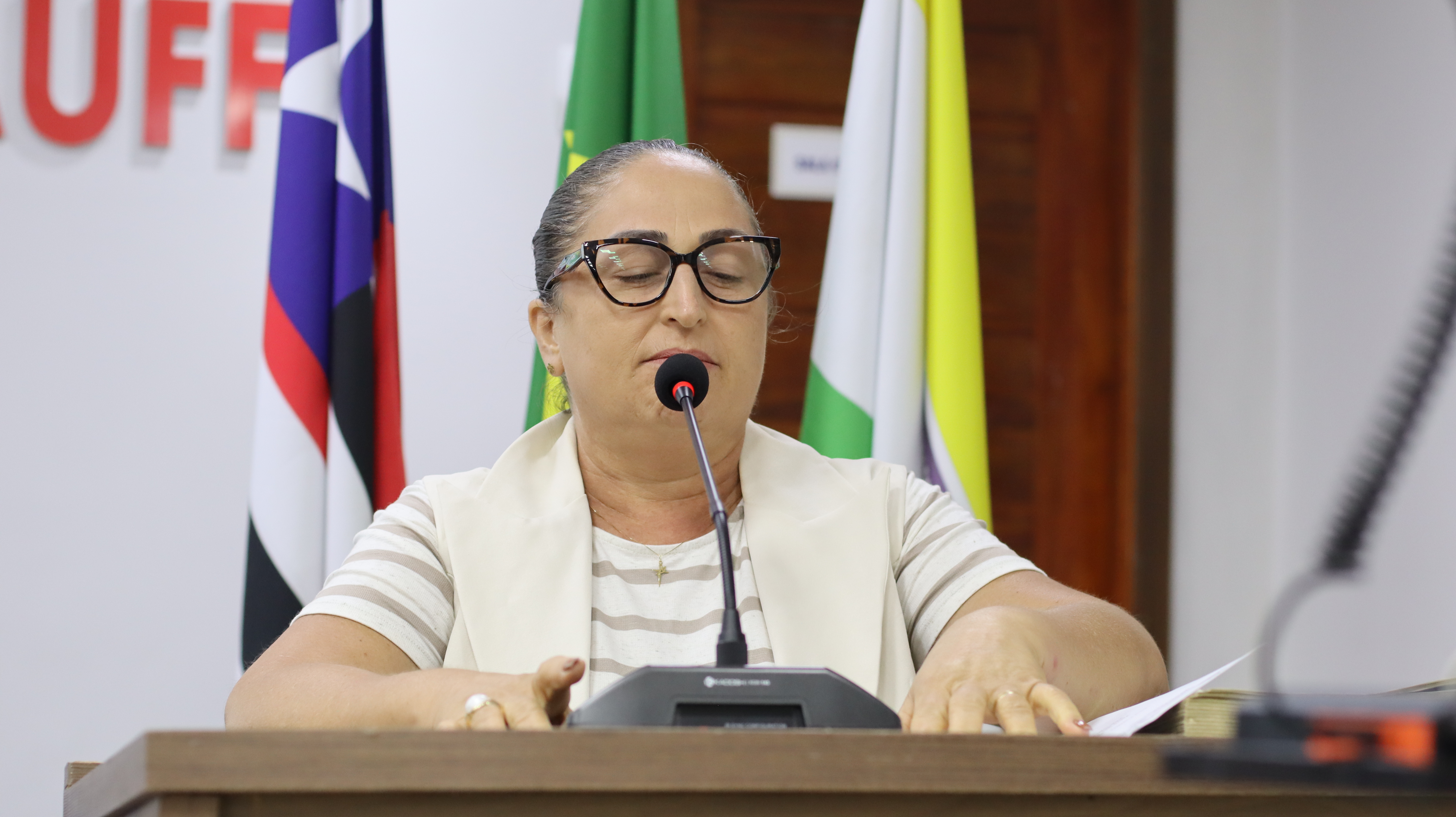 17º Sessão Ordinária