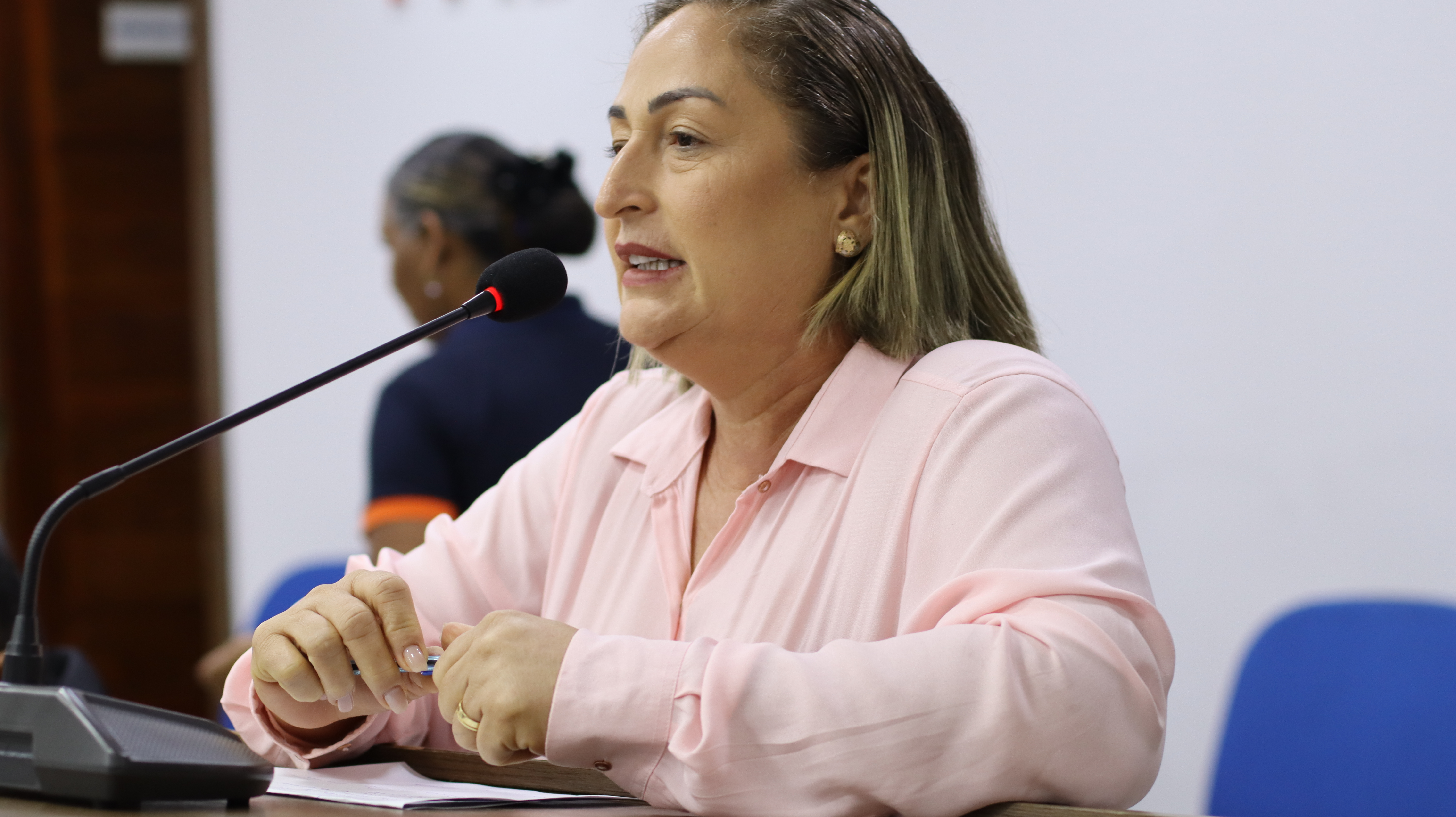 9ª Sessão Plenária