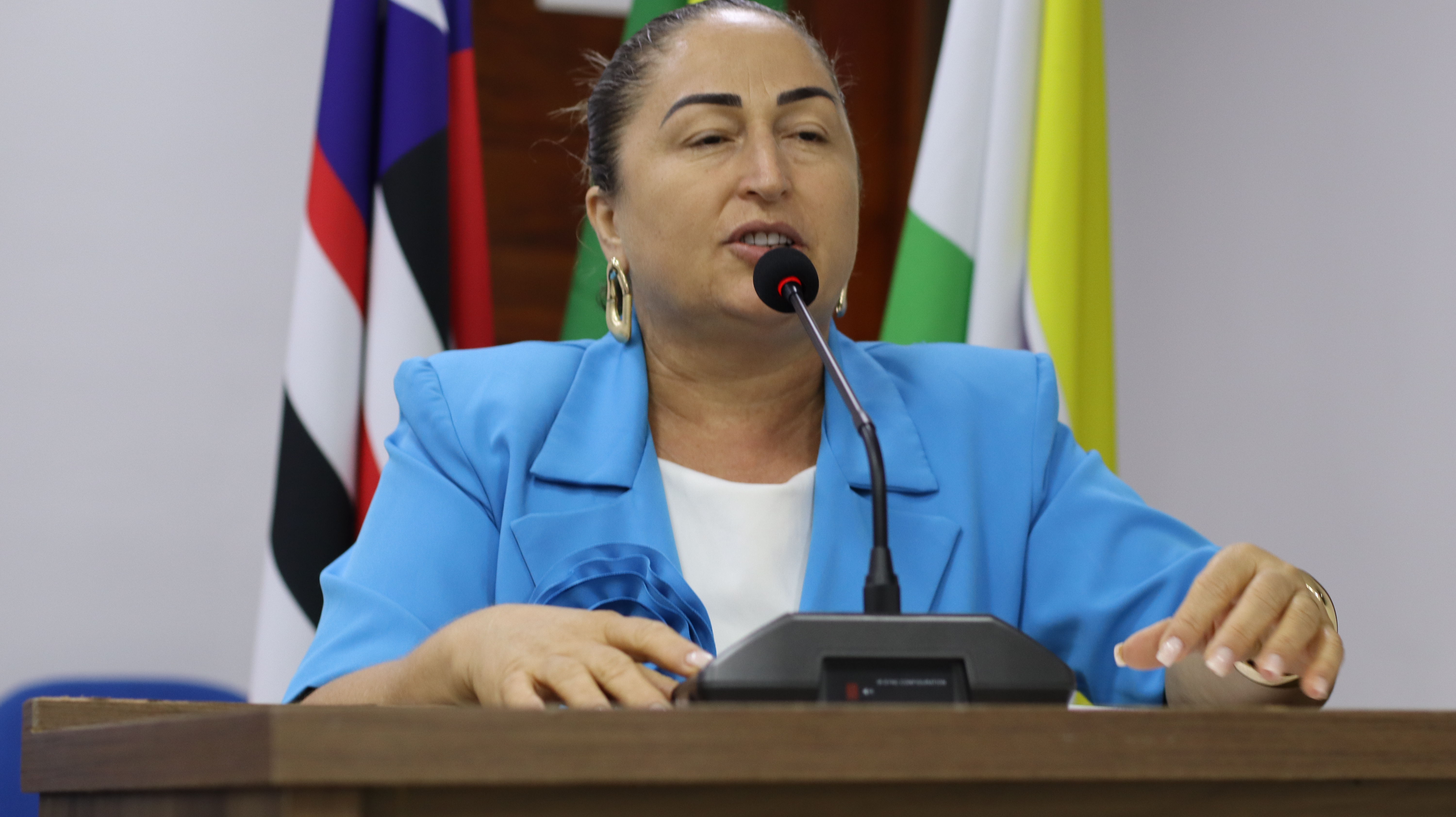 14º Sessão Plenária