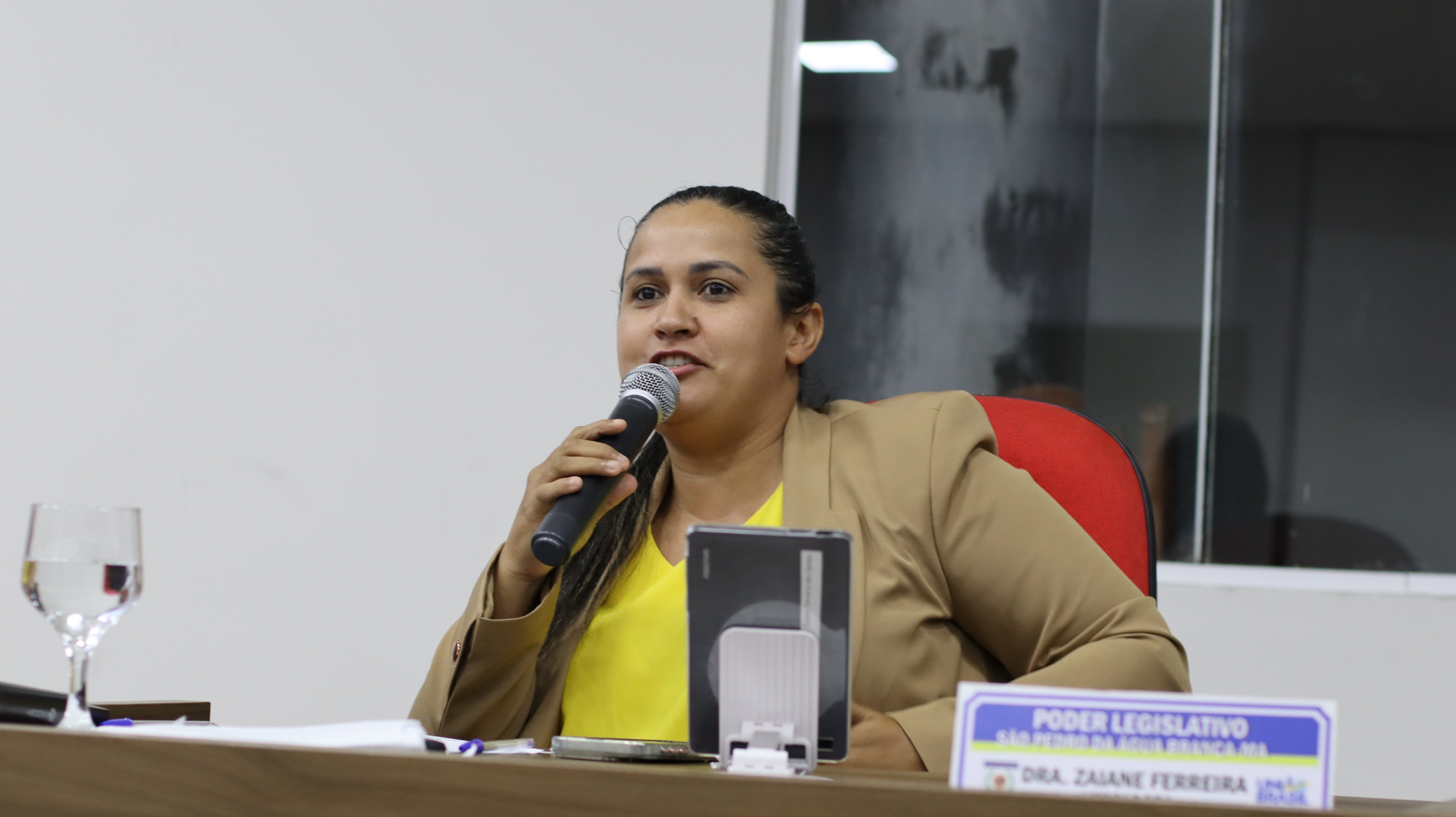 9ª Sessão Plenária