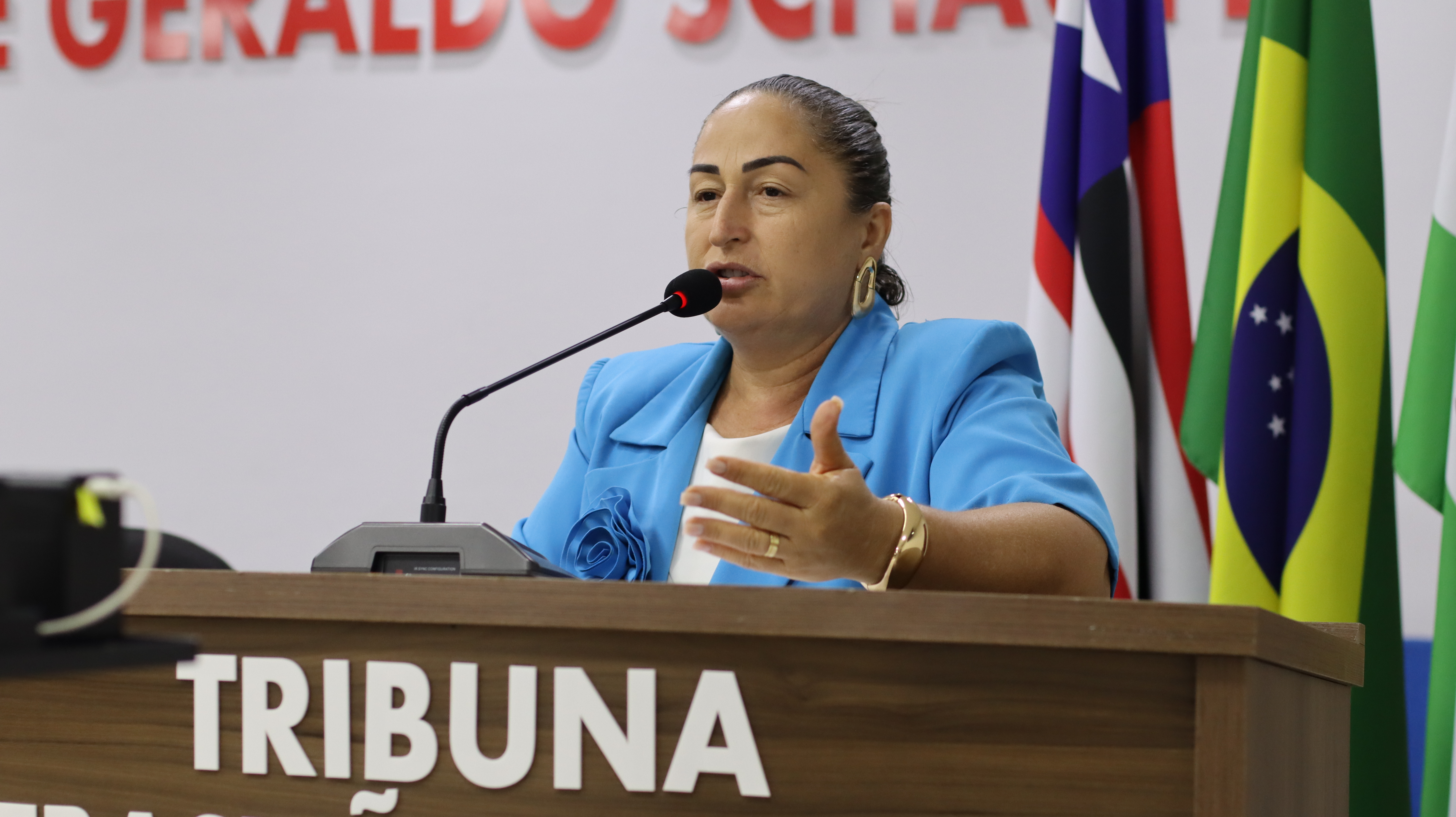 14º Sessão Plenária