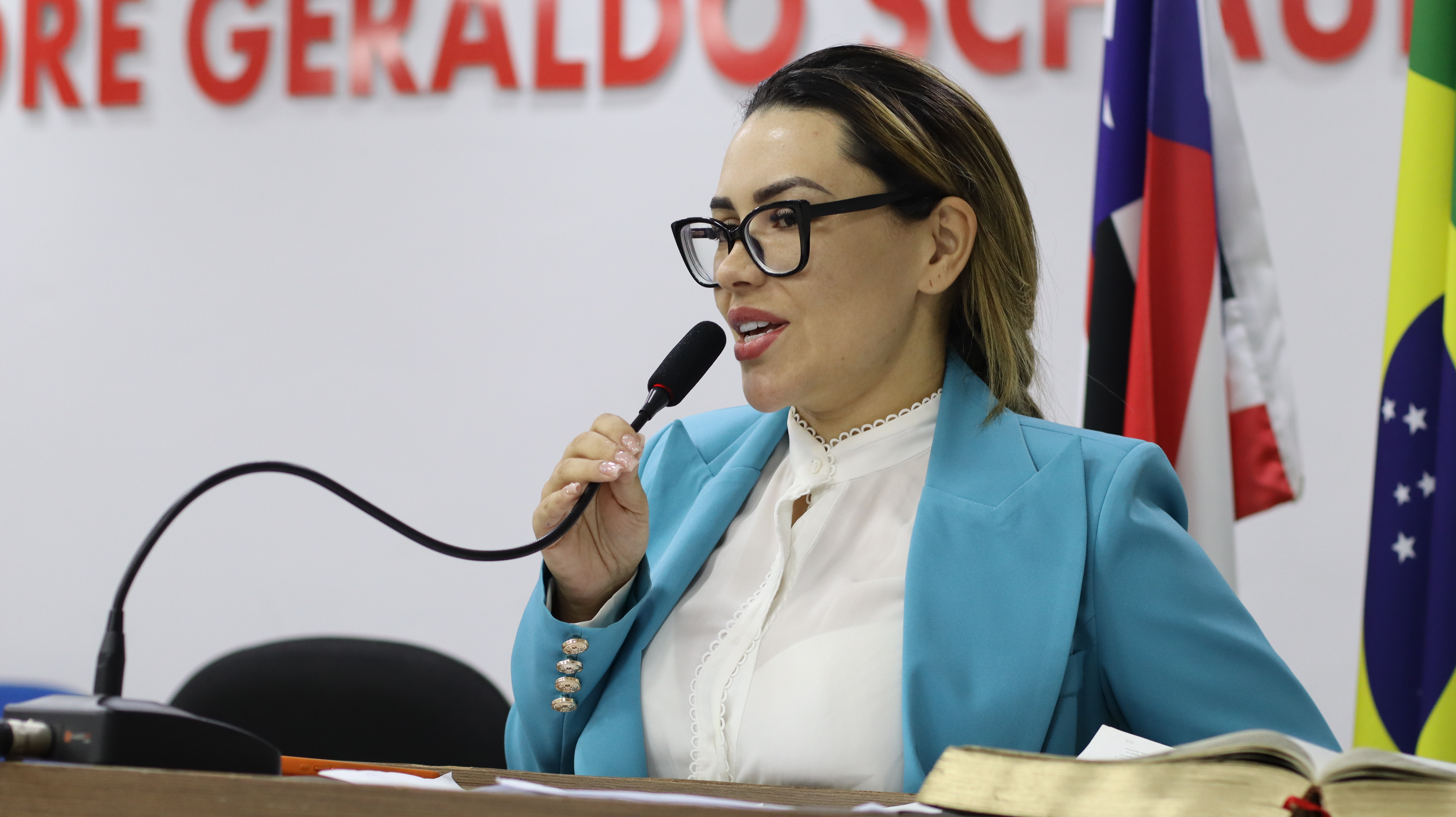 4 Sessão Plenária  Ordinária