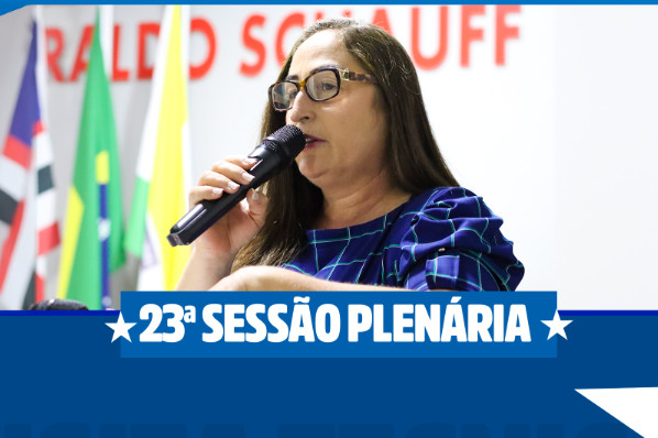 23ª SESSÃO PLENÁRIA