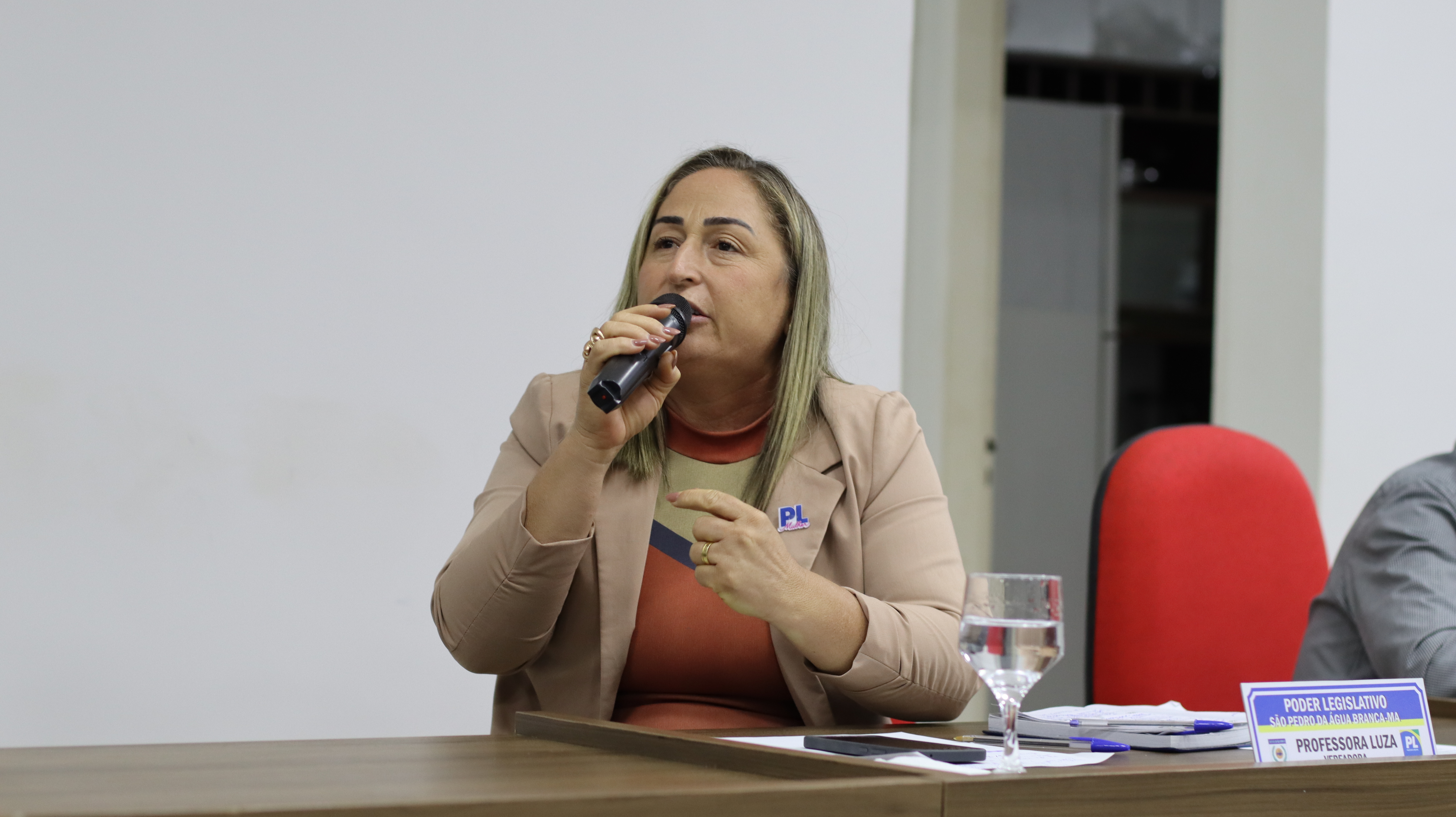 2º Plenária Ordinária