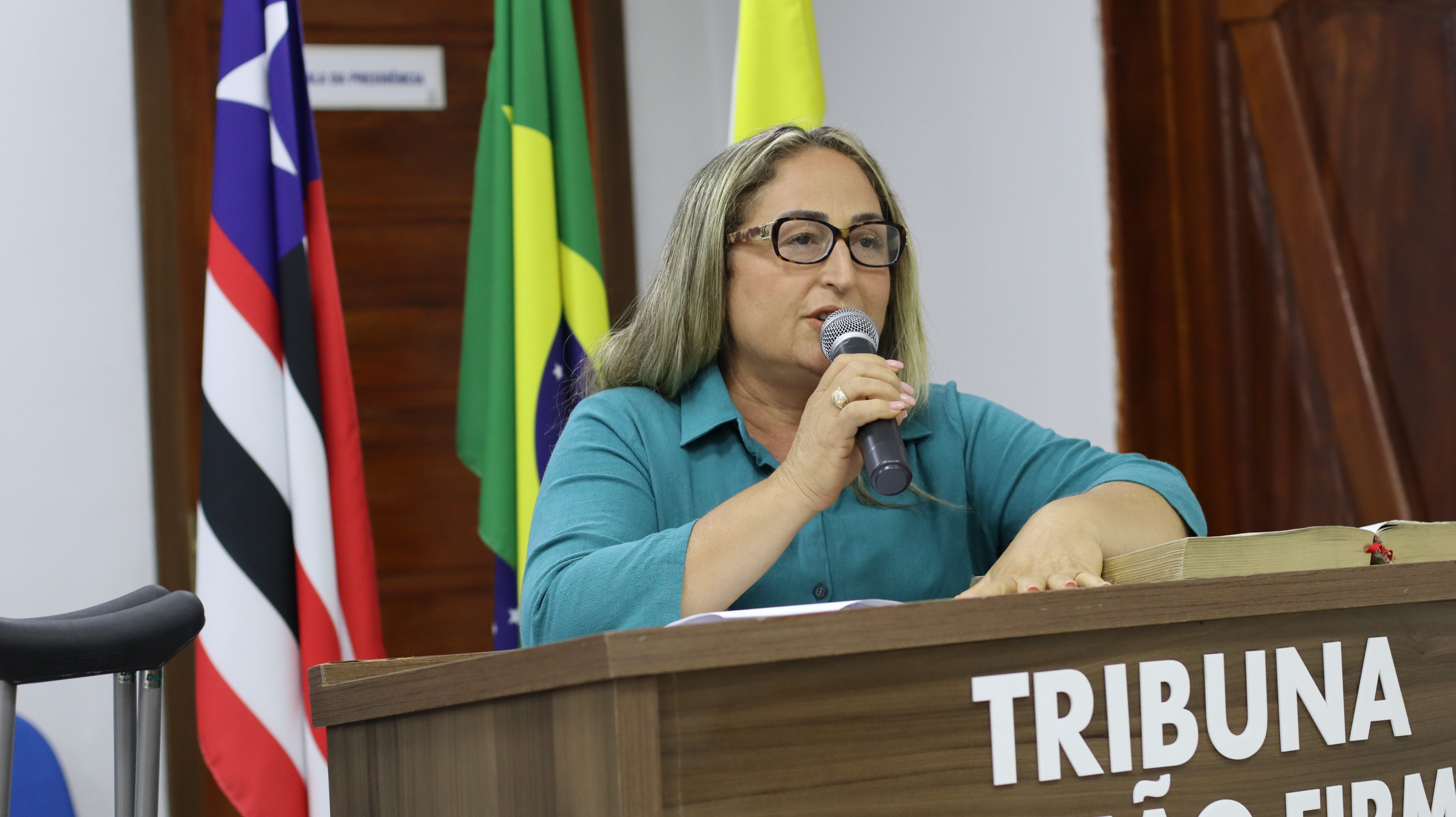 23ª SESSÃO PLENÁRIA