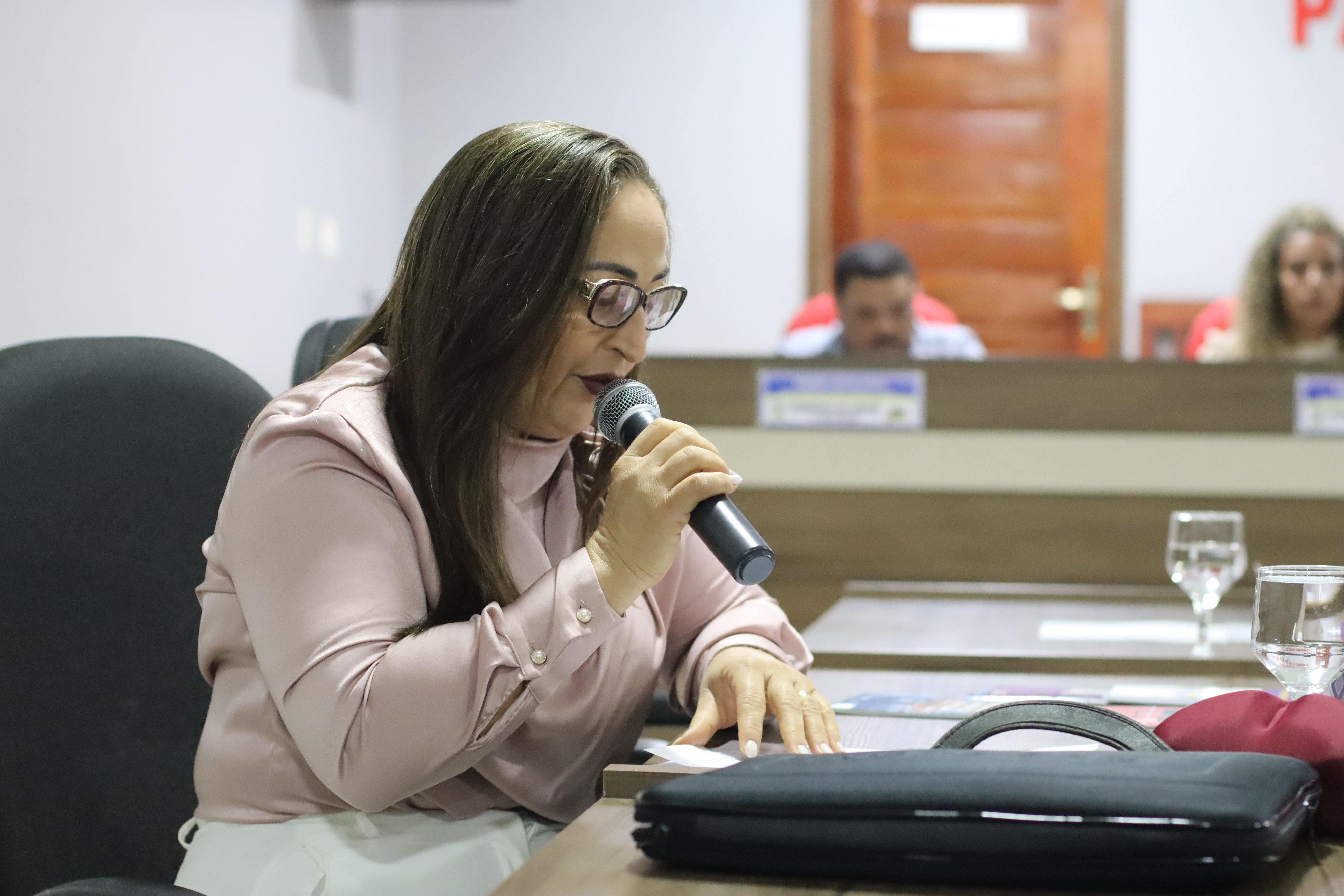 7ª Sessão Plenária