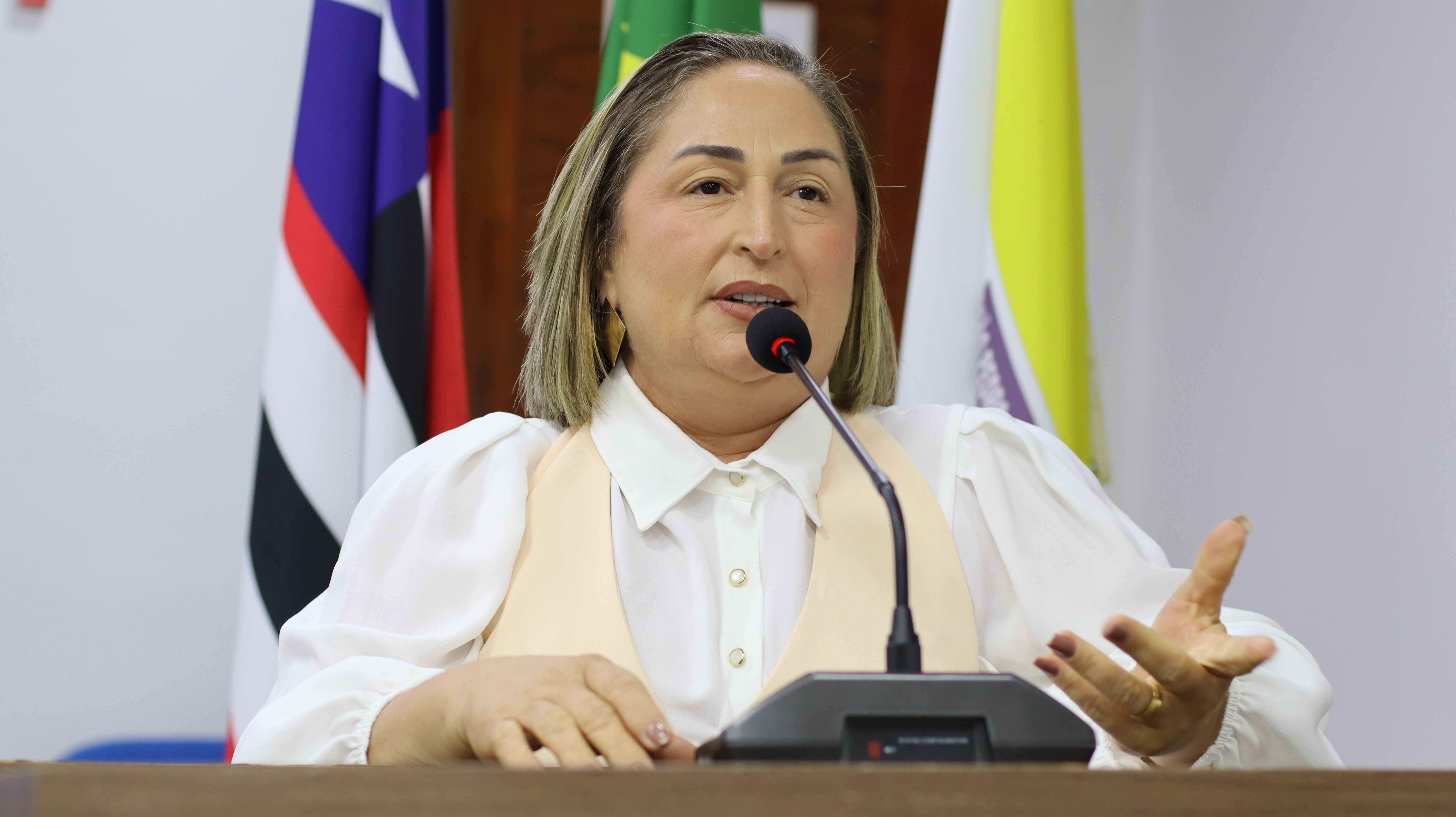 11ª Sessão Plenária