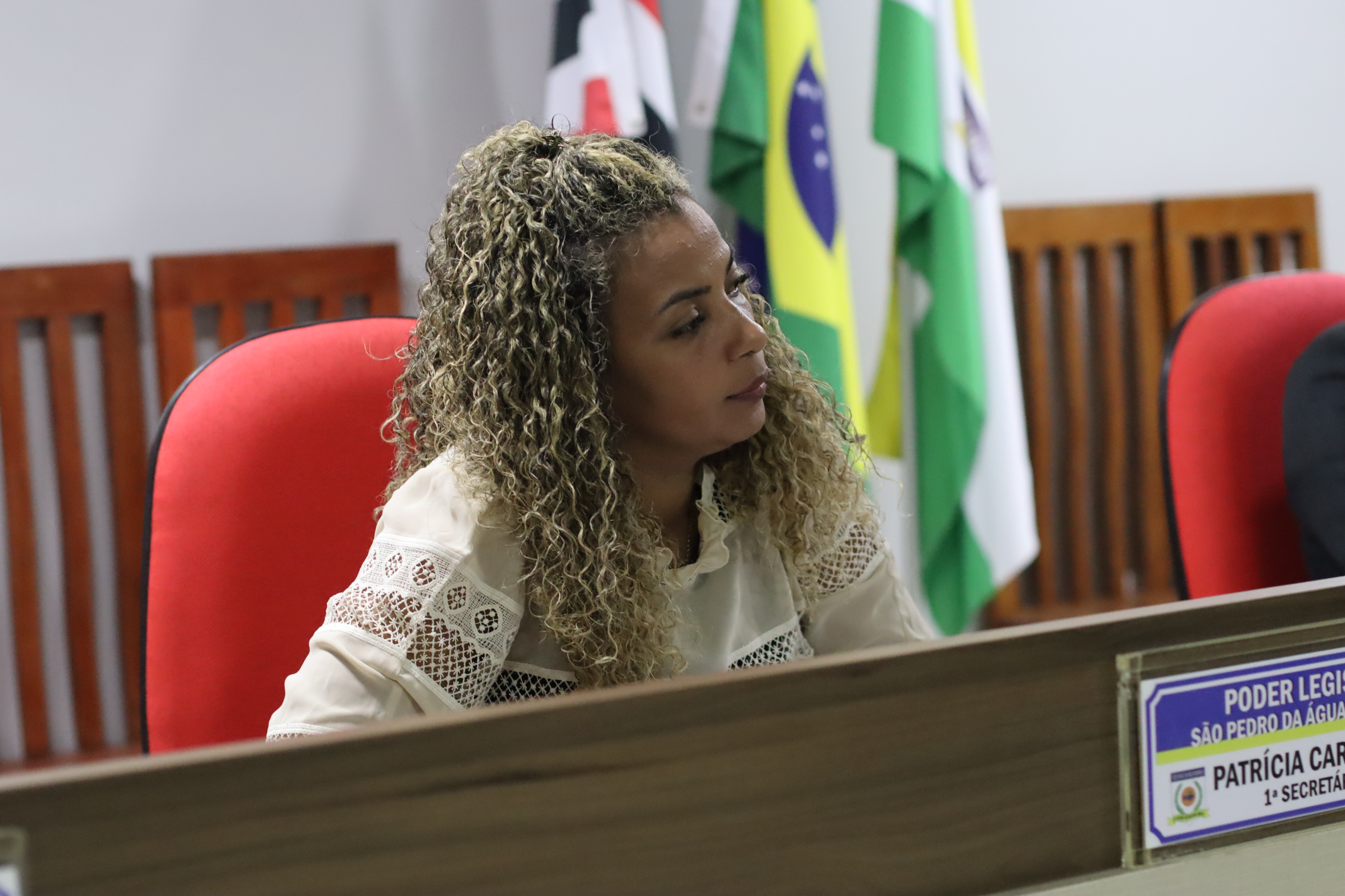7ª Sessão Plenária