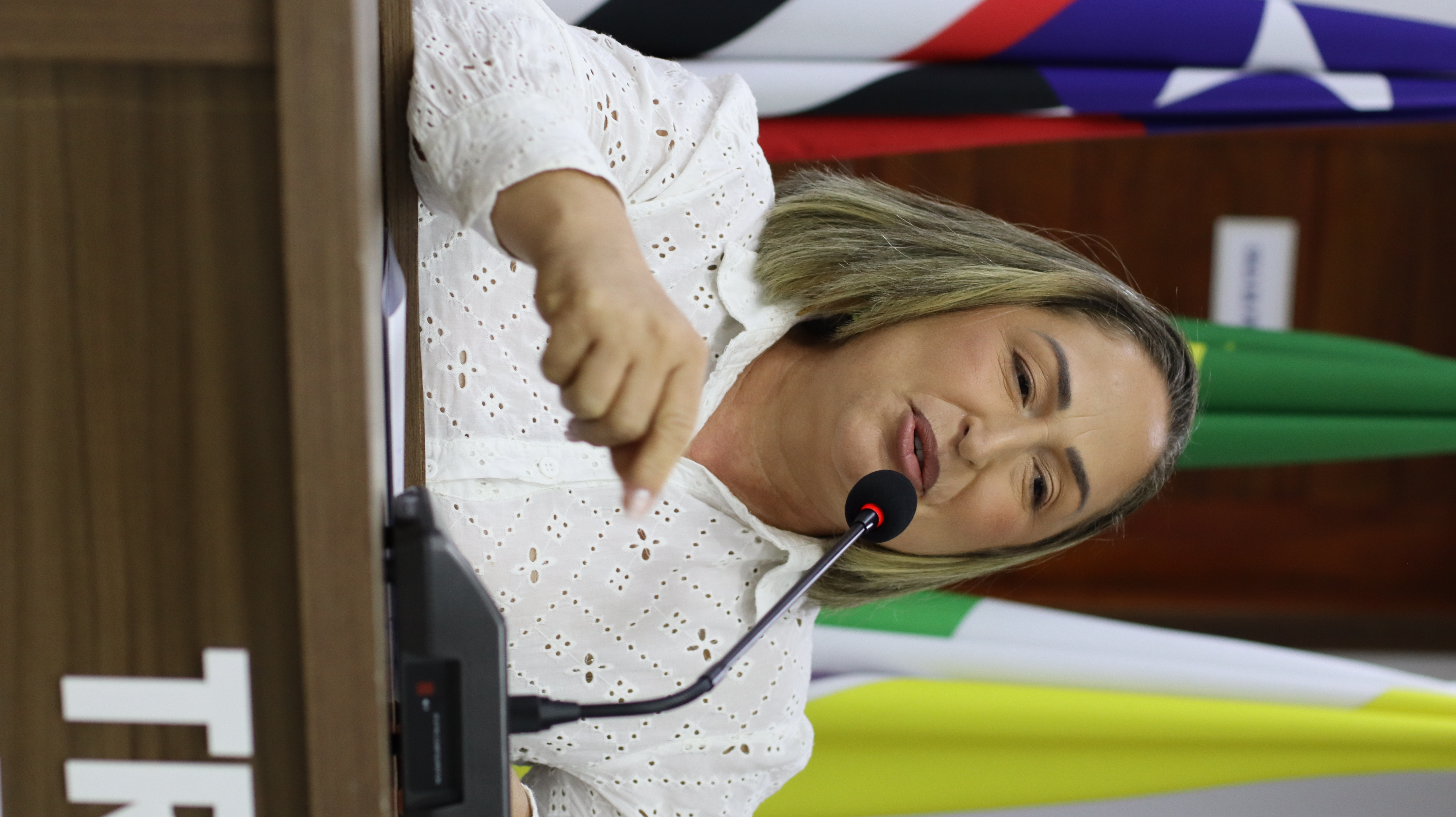 12ª Sessão Plenária