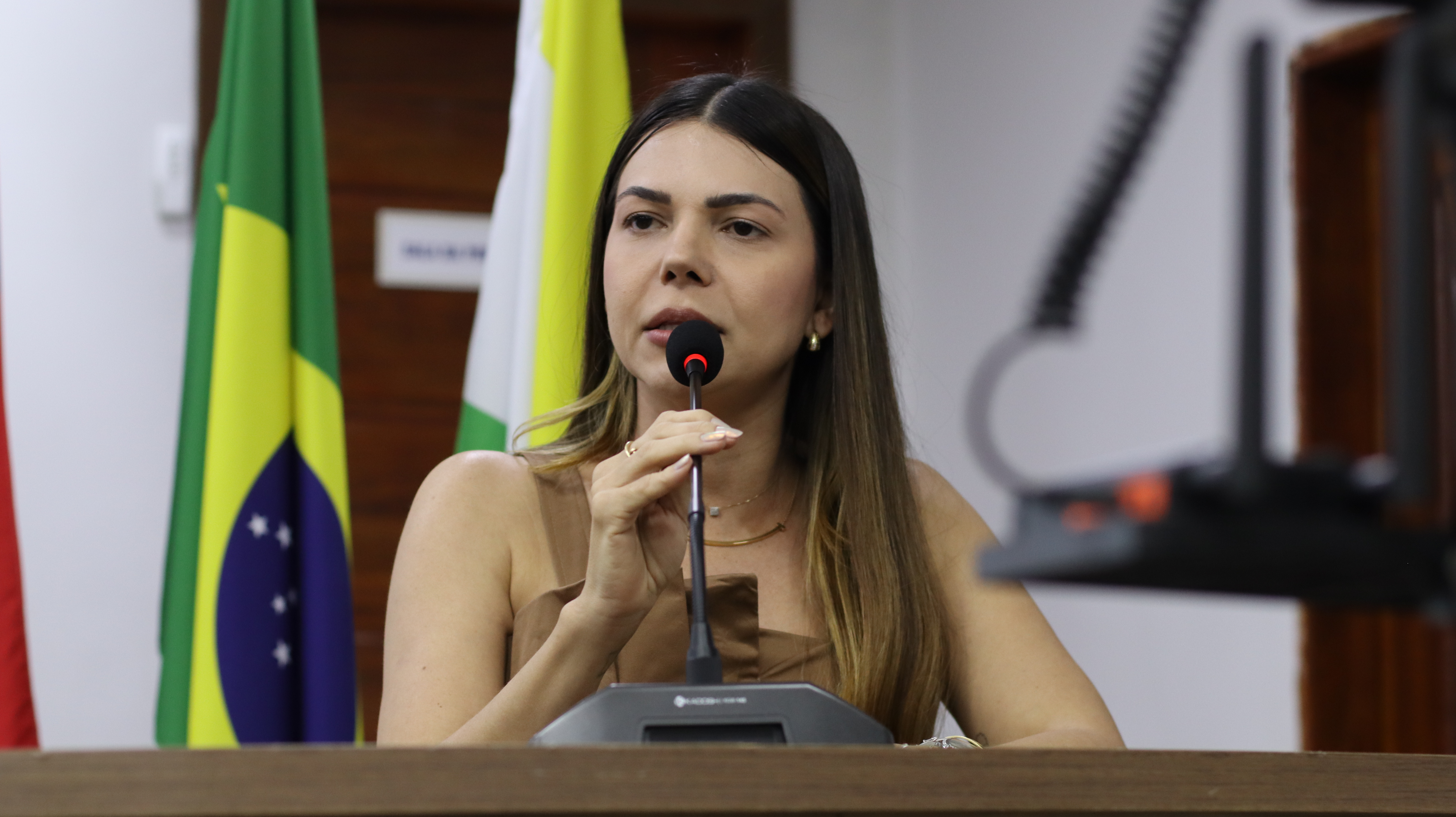 21° SESSÃO PLENÁRIA