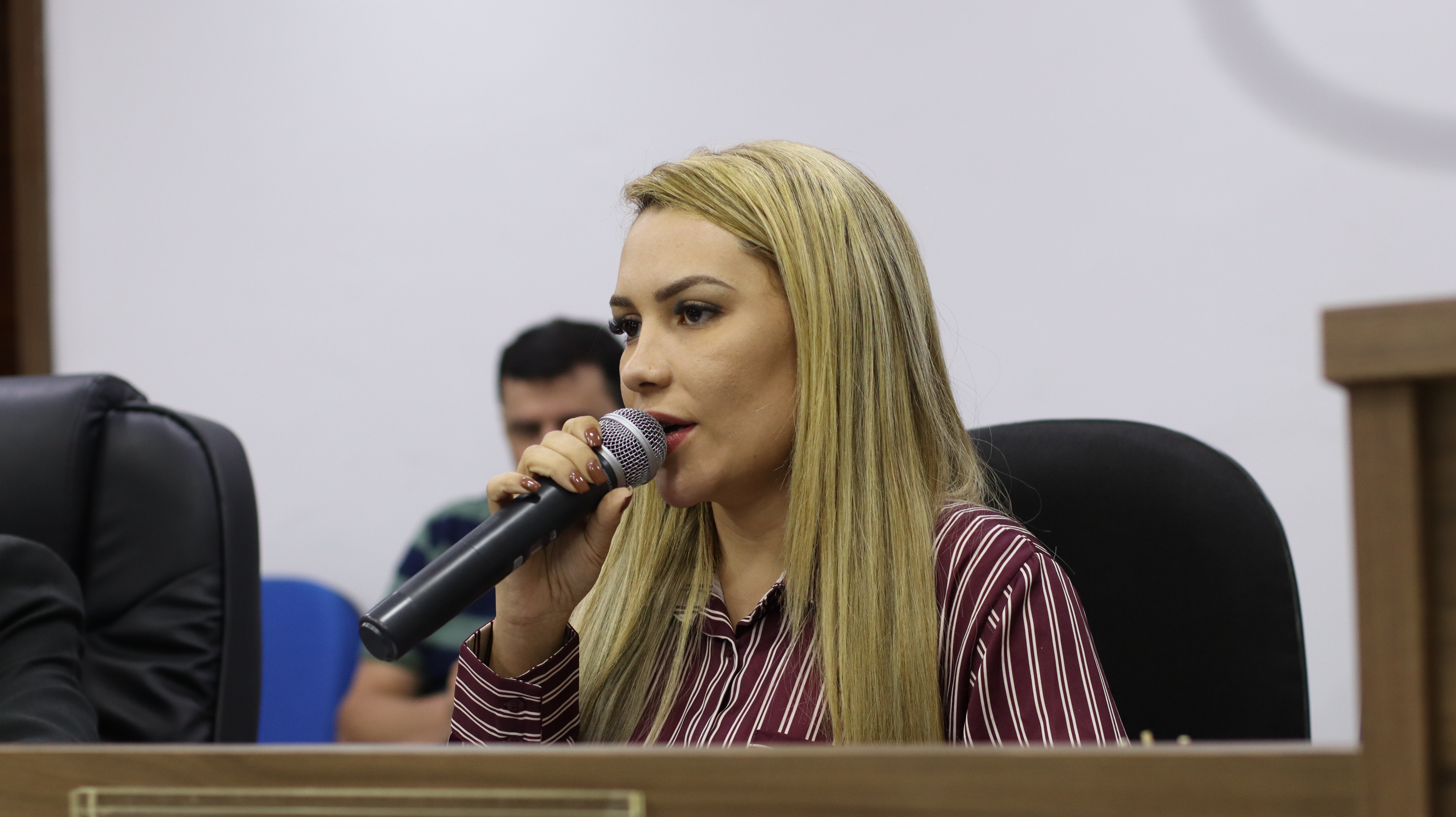 12ª Sessão Plenária