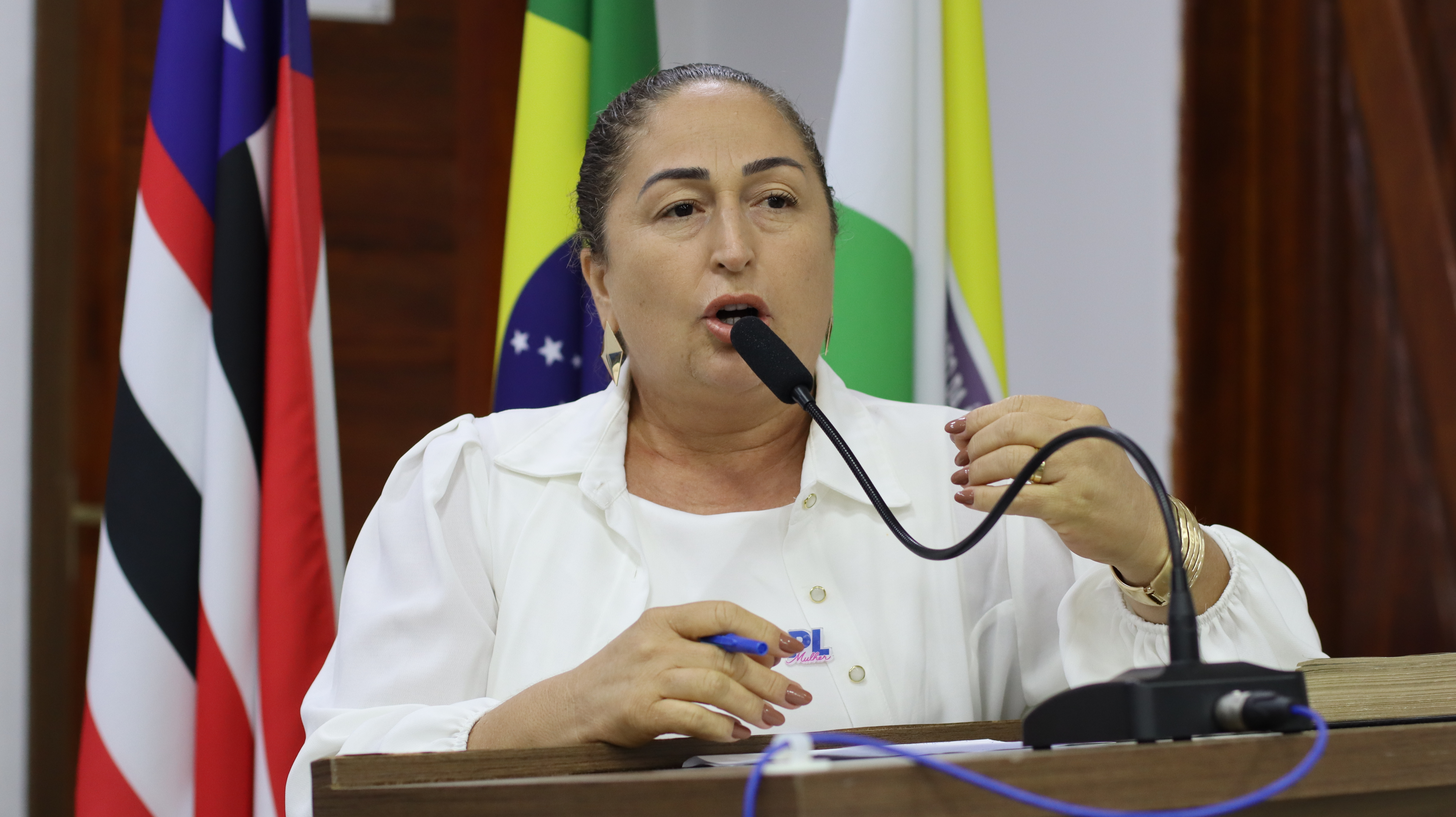 3º Sessão Plenária Ordinária