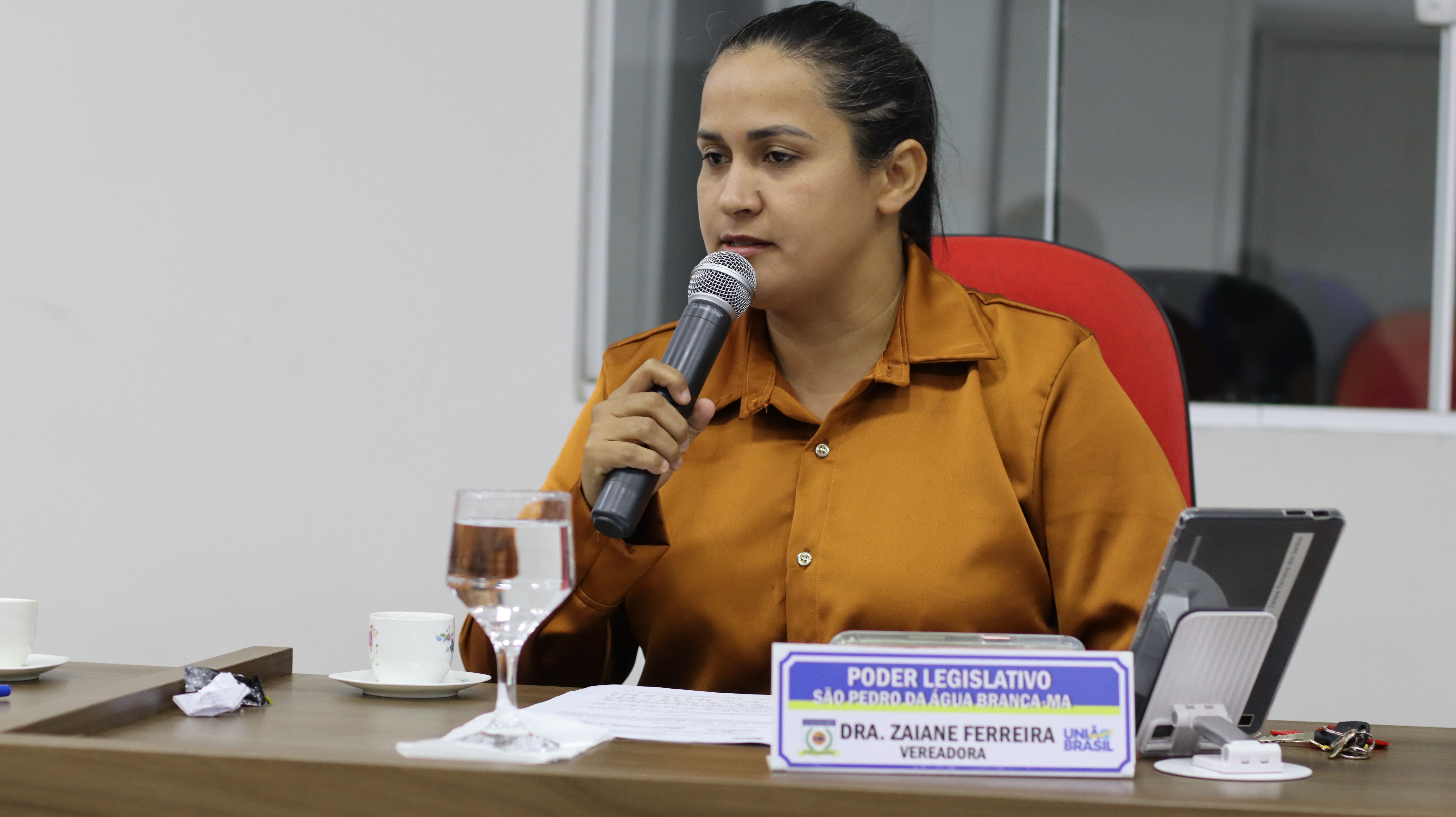 4 Sessão Plenária  Ordinária