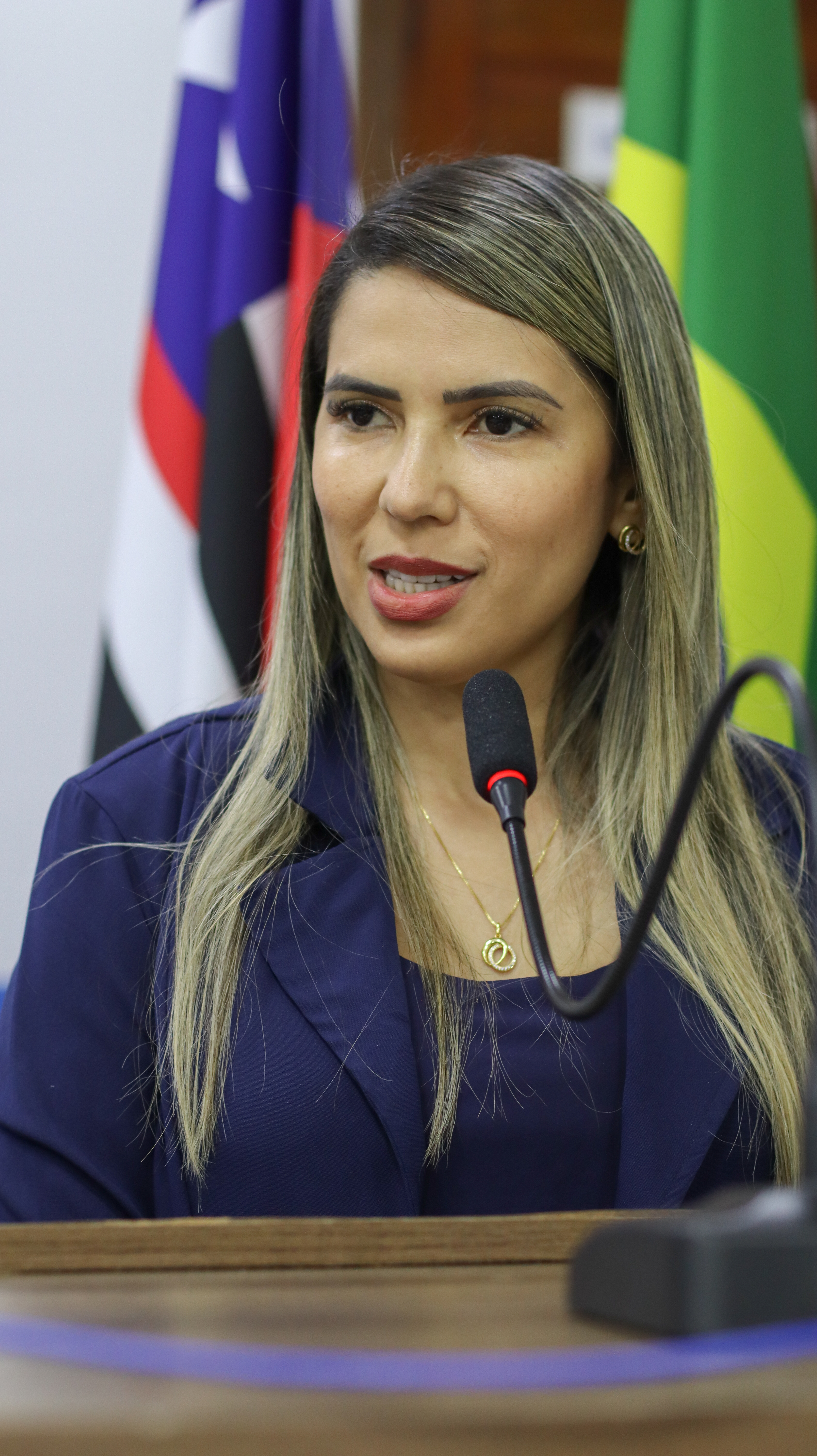 Abertura dos Trabalhos Legislativos