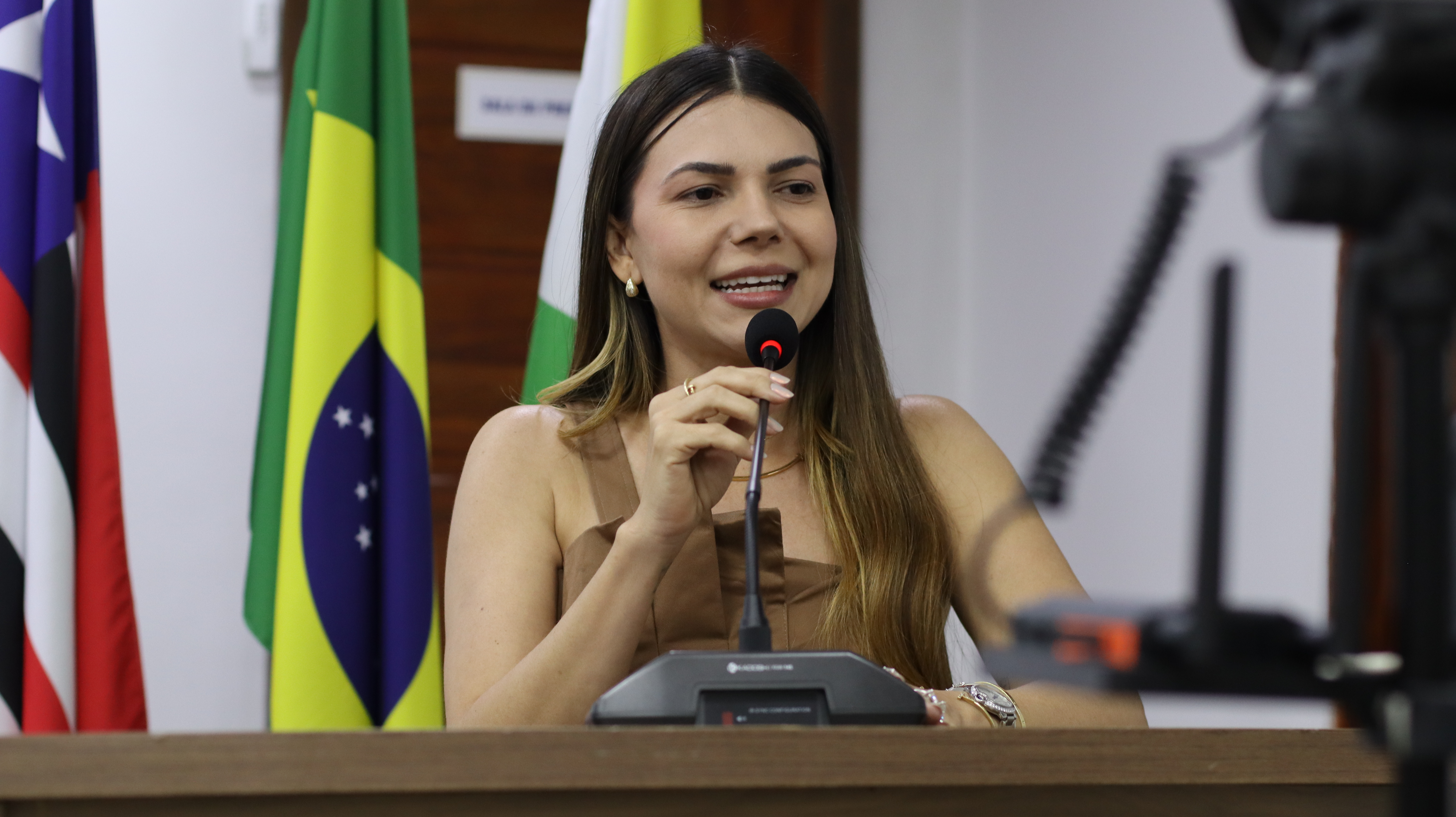 21° SESSÃO PLENÁRIA