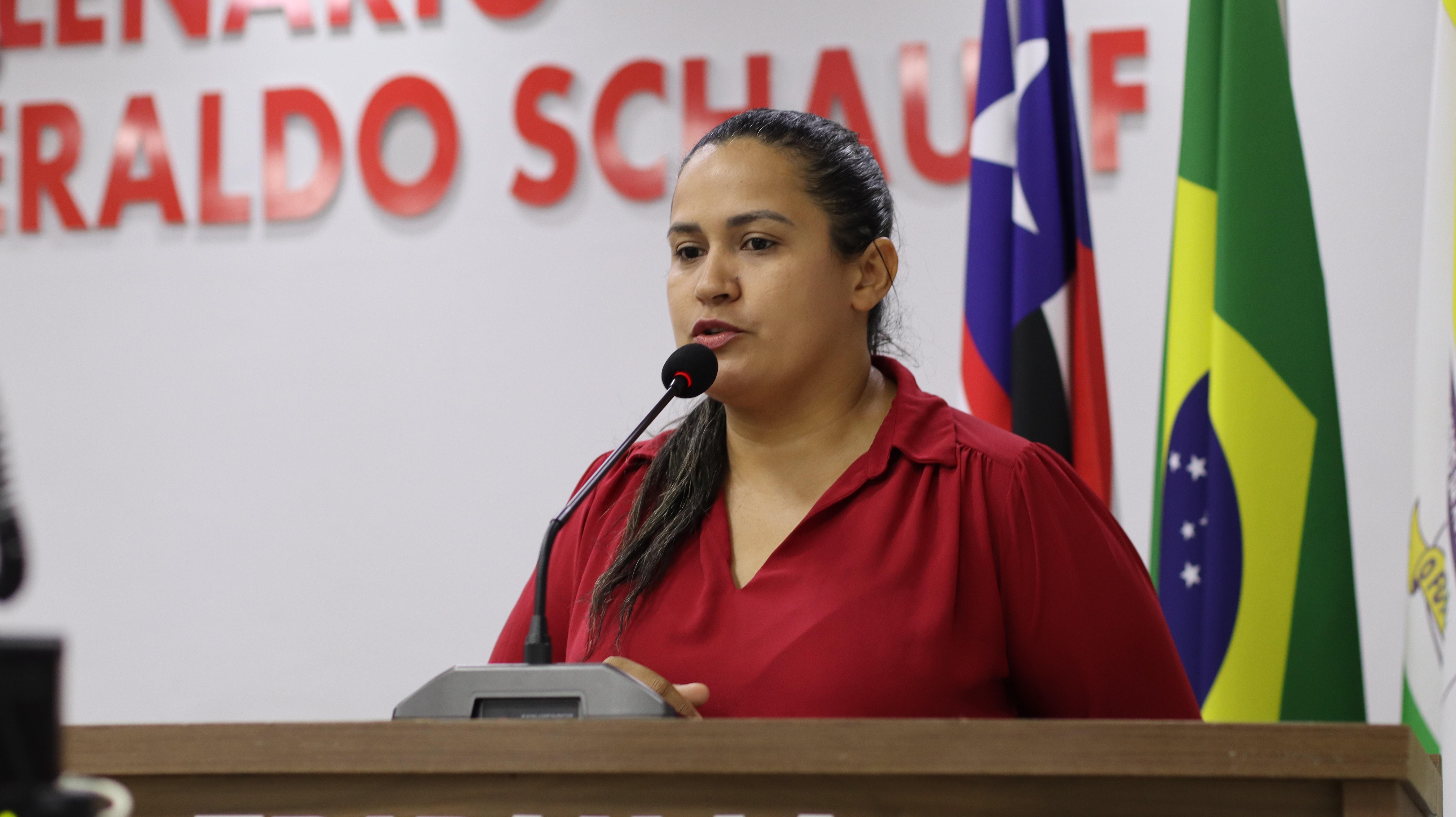 11ª Sessão Plenária