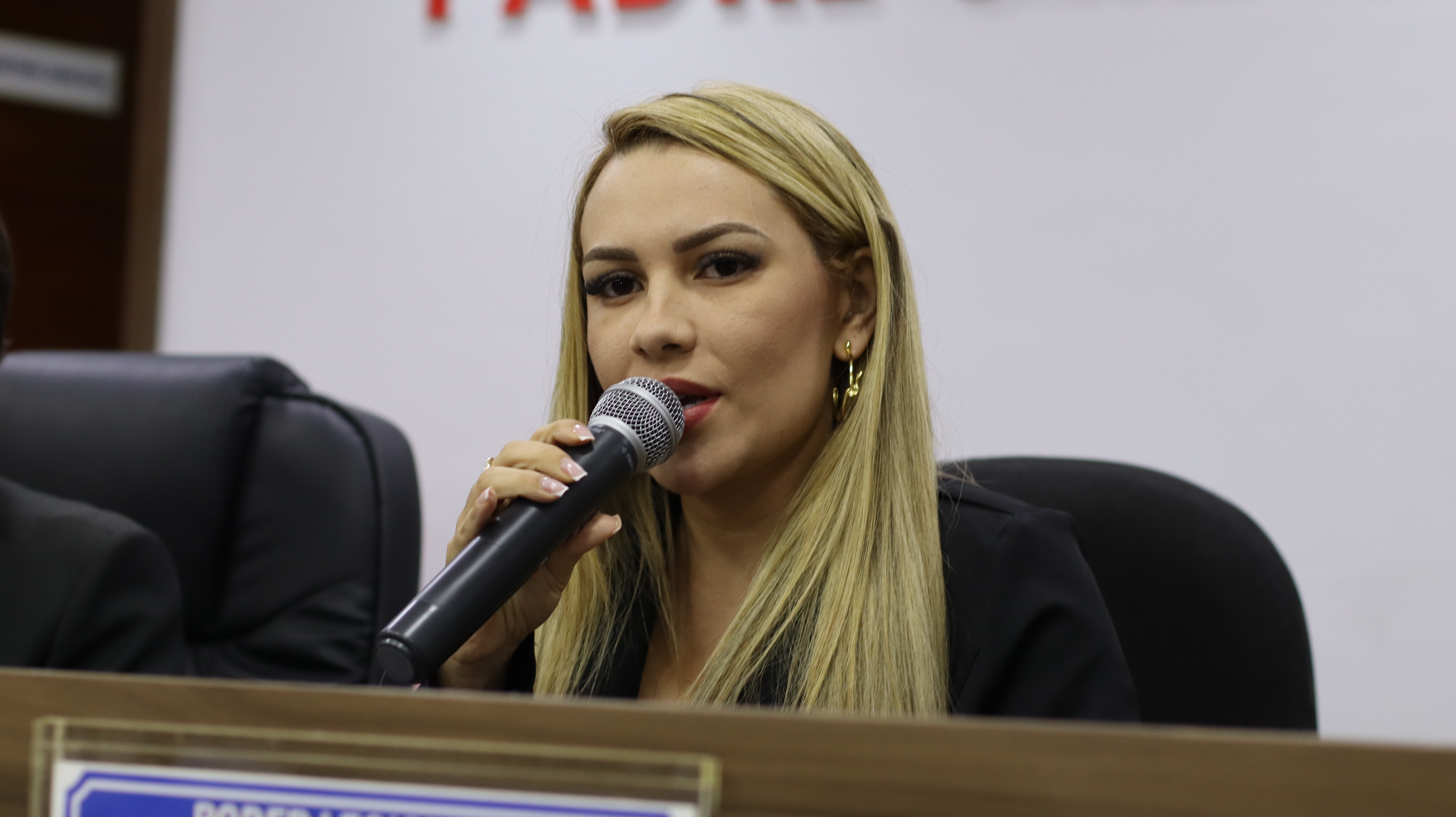 11ª Sessão Plenária