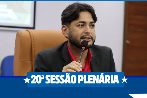 20° SESSÃO PLENÁRIA