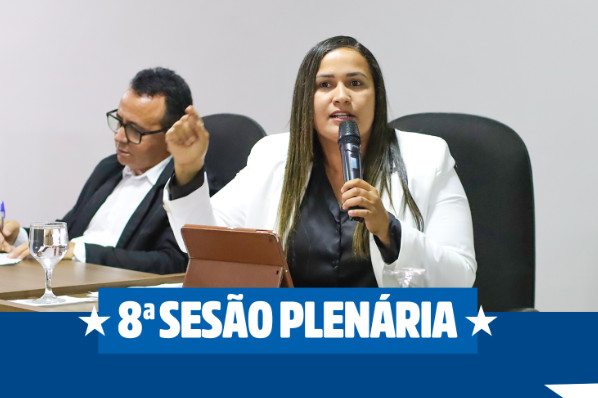 8ª Sessão Plenária