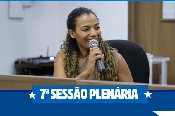 7ª Sessão Plenária