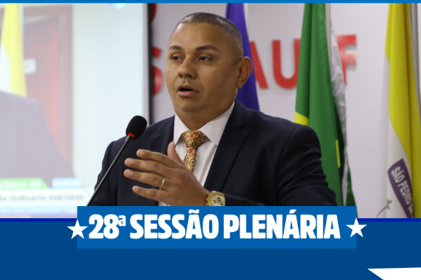28ª SESSÃO PLENÁRIA