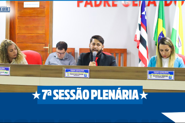 7ª Sessão Plenária