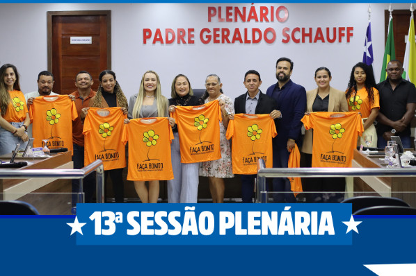 13ª Sessão Plenária